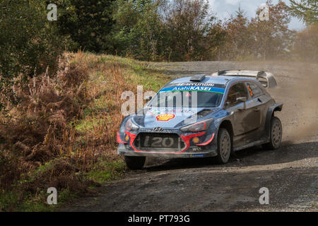 Dyfnant, UK. Il 6 ottobre 2018. La Hyundai i20 WRC di Thierry Neuville (Belgio) a velocità sulle strade forestali ghiaia stadio di formatura 14 del 2018 Wales Rally di Gran Bretagna, attraverso la foresta Dyfnant vicino a Welshpool, POWYS, GALLES Credito: Mike Hillman/Alamy Live News Foto Stock