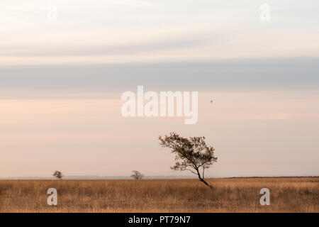 Sheffield, Regno Unito, 7 Ott 2018. Alba sopra il wild Big Moro sulla periferia di Sheffield, guardando più come le pianure dell Africa che il Peak District. Credito: Kathryn Cooper/Alamy Live News Foto Stock