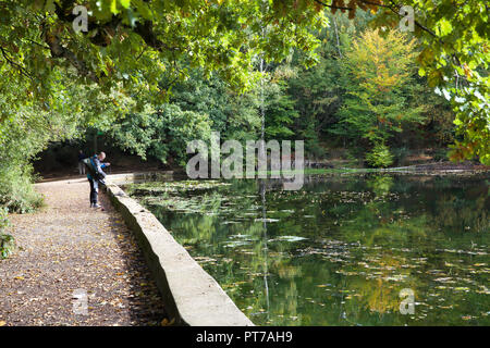 Keston stagni, Regno Unito, 7 ottobre 2018,soleggiata giornata autunnale in Keston stagni. Le famiglie potranno usufruire di una passeggiata intorno gli stagni anche un uomo era la pesca in uno degli stagni. Questa acqua naturale è alimentato da una molla ripetutamente contiene Carp a oltre 30lb. Credito: Keith Larby/Alamy Live News Foto Stock