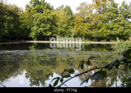 Keston stagni, Regno Unito, 7 ottobre 2018,soleggiata giornata autunnale in Keston stagni. Le famiglie potranno usufruire di una passeggiata intorno gli stagni anche un uomo era la pesca in uno degli stagni. Questa acqua naturale è alimentato da una molla ripetutamente contiene Carp a oltre 30lb. Credito: Keith Larby/Alamy Live News Foto Stock