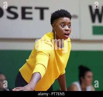 Bad aibling, Germania. 6 Ottobre, 2018. headcoach Ciara IGLEHART (Bad Aibling/US), .tedesco Womans Basketball League 2018/19, Oct 06, 2018 Firegirls Bad Aibling vs Eintracht Braunschweig, Firedome Bad Aibling, Credito: Wolfgang Fehrmann/ZUMA filo/Alamy Live News Foto Stock