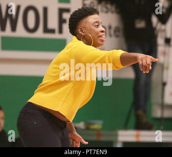 Bad aibling, Germania. 6 Ottobre, 2018. headcoach Ciara IGLEHART (Bad Aibling/US), .tedesco Womans Basketball League 2018/19, Oct 06, 2018 Firegirls Bad Aibling vs Eintracht Braunschweig, Firedome Bad Aibling, Credito: Wolfgang Fehrmann/ZUMA filo/Alamy Live News Foto Stock