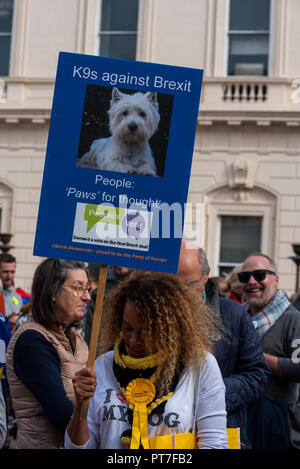 Londra, Regno Unito. Il 7 ottobre 2018. Wooferendum, cani marciare contro Brexit. Cani contro Brexit camminato attraverso il centro di Londra, da Waterloo Place a Piazza del Parlamento. I proprietari di cani sono interessati che Brexit è probabile fare lontano con il passaporto europeo per gli animali domestici schema, crea una situazione di penuria di esperti veterinari e di aumentare il costo del pet food. Credito: Stephen Bell/Alamy Live News. Foto Stock