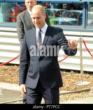 Il principe William Duca di Cambridge visite di Royal Mail in tutto il mondo International Logistics Center a Heathrow per vedere come si sono uniti per il trasporto di animali selvatici i membri della task force sono lavorando insieme per interrompere i tentativi di traffico illegale di prodotti della fauna selvatica. Dotato di: Prince William, duca di Cambridge dove: Londra, Regno Unito quando: 06 Sep 2018 Credit: WENN.com Foto Stock