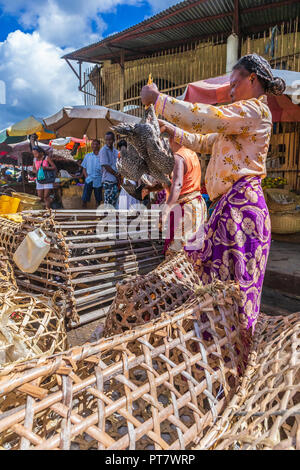 HELL VILLE, MADAGASCAR - Dicembre 19, 2015: donna malgascia è di acquistare il pollo al mercato di Hell Ville, una città a Nosy Be Island, a nord del Madagascar. Foto Stock