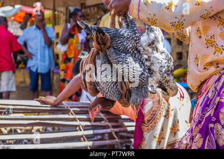 HELL VILLE, MADAGASCAR - Dicembre 19, 2015: donna malgascia è di acquistare il pollo al mercato di Hell Ville, una città a Nosy Be Island, a nord del Madagascar. Foto Stock