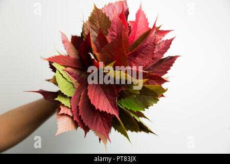 Le donne tenendo in mano le foglie di autunno un bouquet Foto Stock