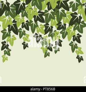 Vector ivy seamless. sfondo verde edera impianto su una parete Illustrazione Vettoriale