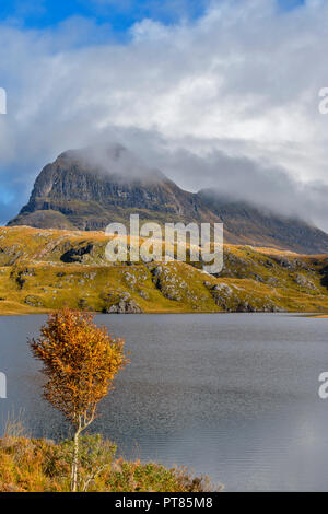 SUILVEN E FIUME KIRKAIG SUTHERLAND Scozia autunnale di ROWAN TREE E EARLY MORNING MIST il sollevamento dalla montagna Foto Stock