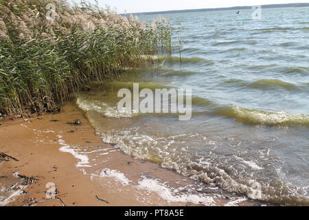 Lucentezza blu mare con schiuma bianca sulle onde di armonia e splendida e tranquilla giornata di autunno Foto Stock