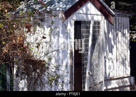 Vecchia tettoia del giardino Foto Stock