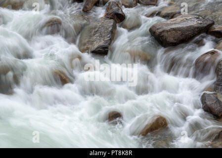 Dettaglio di Wolf Creek Rapids sull'Idaho Selway River. Foto Stock