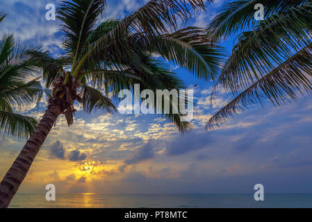 Mare sunrise in Koh Samui, Thailandia. Foto Stock