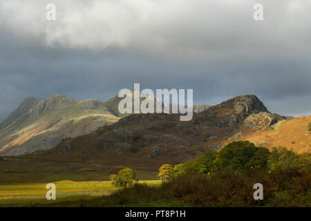 The Langdale Pikes e lato Pike da vicino Blea Tarn Parco Nazionale del Distretto dei Laghi Foto Stock