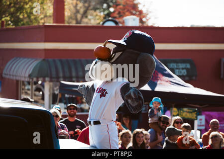 Zucca Zucca Damariscotta Fest Foto Stock