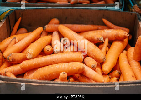 Carote rosse in una scatola di carta sul mercato. La verdura fresca offerta da parte di agricoltori, cibo organico concetto. Foto Stock