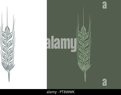 Pane di grano le orecchie del raccolto di cereali sketch linea stile d'arte. Illustrazione Vettoriale. Illustrazione Vettoriale