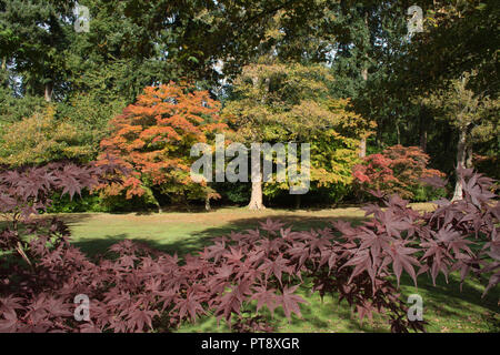 I colori autunnali a Tylney Hall e i giardini e una grand villa vittoriana e ora un elegante hotel di campagna, vicino a Hastings in Hampshire, Regno Unito Foto Stock