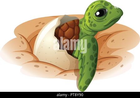 Baby turtle uscente di illustrazione della shell Illustrazione Vettoriale