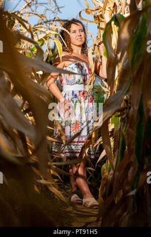 Ritratto di una bella donna ricci in posa con il mais in cornfield d'estate Foto Stock