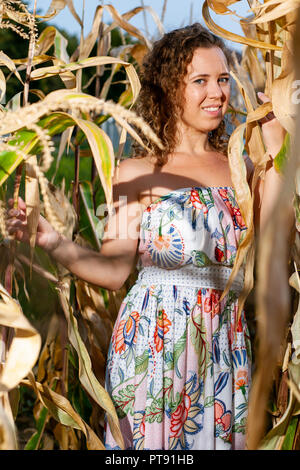 Ritratto di una bella donna ricci in posa con il mais in cornfield d'estate Foto Stock