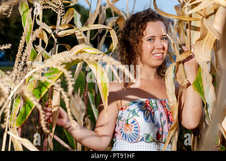 Ritratto di una bella donna ricci in posa con il mais in cornfield d'estate Foto Stock