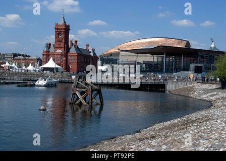 Cardiff misc, 2009. Creatore: Ethel Davies. Foto Stock