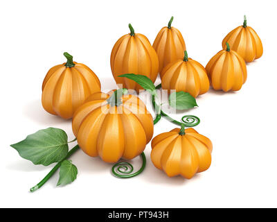Le zucche con foglie 3D rendering immagine isolata su sfondo bianco Foto Stock