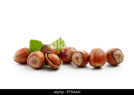 Appena raccolto nocciole con foglie su sfondo bianco, vicino. Foto Stock