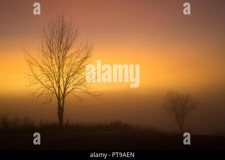 Serata di nebbia e la luce del tramonto dai campi Reppe, Ranheim area, Norvegia. Foto Stock