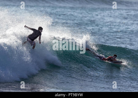 Surfer a Tongo Reef vicino a Puerto Baquerizo Moreno, San Cristobal Island, Isole Galapagos Ecuador, Foto Stock