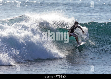 Surfer a Tongo Reef vicino a Puerto Baquerizo Moreno, San Cristobal Island, Isole Galapagos Ecuador, Foto Stock