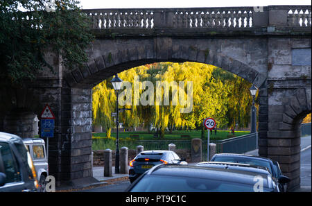 Ponte Inferiore St, Chester, salici lungo il fiume Dee. Immagine presa in ottobre 2018. Foto Stock