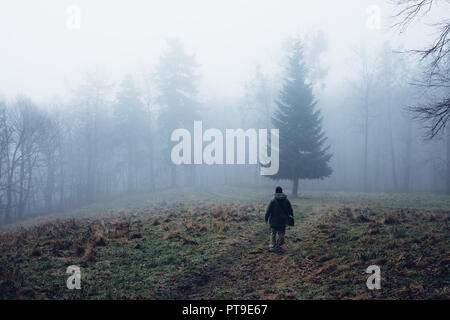 Un giovane uomo sorge nella nebbia su un prato di fronte a una foresta Foto Stock