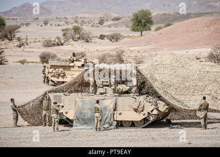 Un Guerriero di combattimento blindati equipaggio del veicolo preparare per mimetizzare il loro carro in Oman deserto, dove le forze del Regno Unito stanno prendendo parte ad un mese di esercizio, Saif Sareea 3. Foto Stock