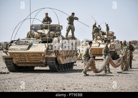 Un Guerriero di combattimento blindati equipaggio del veicolo preparare per mimetizzare il loro carro in Oman deserto, dove le forze del Regno Unito stanno prendendo parte ad un mese di esercizio, Saif Sareea 3. Foto Stock