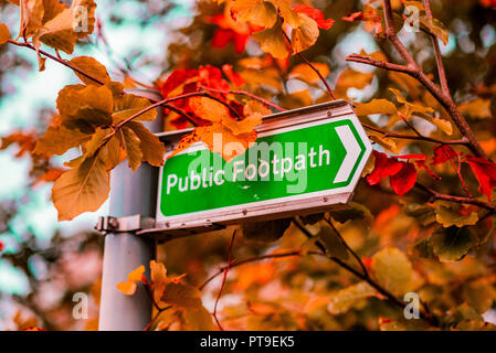 Verde chiaro sentiero pubblico segno nel mezzo di un arancio e il rosso Bosco in autunno Foto Stock