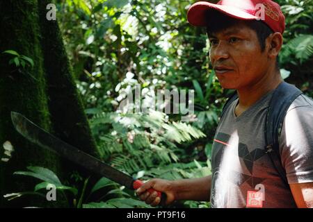 Macedonia, Amazzonia / Colombia - MAR 15 2016: locale ticuna tribal stati cercando un registro a cadere in mezzo alla foresta pluviale Foto Stock