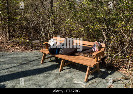 Un buon riposo dopo la lettura di un libro su una panchina nel bosco Foto Stock