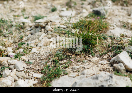 Scuro grigio dettagliate sullo sfondo di pietra vicino. Foto Stock