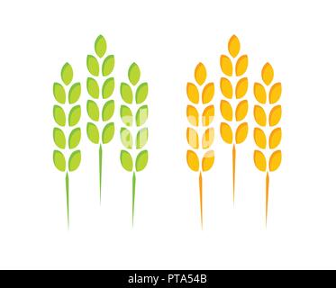 Icona di frumento e di segala orecchie isolati su sfondo bianco. Segno della natura Prodotto di alta qualità. Illustrazione Vettoriale