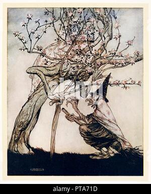 Albero della mia! O albero della mia! Hai visto il mio naughty little maid?, inglese Favole, pub 1922. Creatore: Arthur Rackham (1867 - 1939). Foto Stock