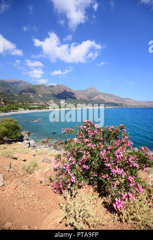 Paesaggio tipico dei paesi del bacino del mediterraneo Foto Stock