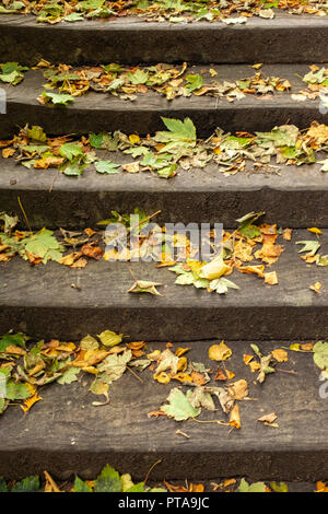 Foglie di autunno sui passi concreti Foto Stock