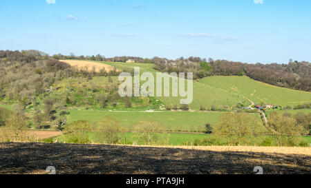 Campi di pascolo ed edifici agricoli mescolare con alberi da bosco sulle pendici delle colline della Chilterns in Inghilterra del Home Counties. Foto Stock