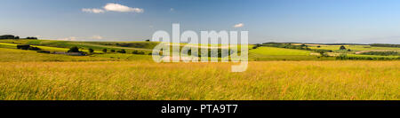 Un mosaico di campi di terreni agricoli e piccoli boschi copre il paesaggio di rotolamento di a Cranborne Chase a Tollard Royal sul confine del Wiltshire e Dors Foto Stock