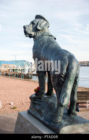 Statua di BAMSE, un eroico norvegese guerra mondiale due mare cane. Foto Stock