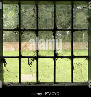 Dirty windows - vecchio e sporco, vetri delle finestre coperte di ragnatele, ragnatele, polvere e sporcizia. Foto Stock