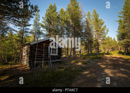 Area boscata di Femundsmarka parco nazionale in Norvegia. L'estate. Foto Stock