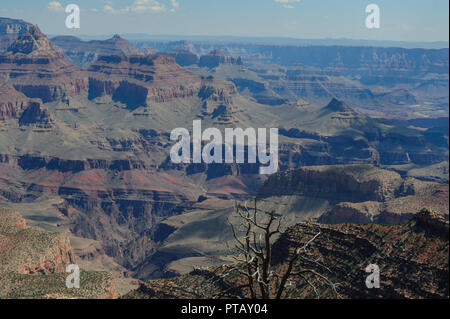 Il Grand Canyon in un pomeriggio d'estate i primi di agosto, vicino deserto vista torre di avvistamento. Foto Stock